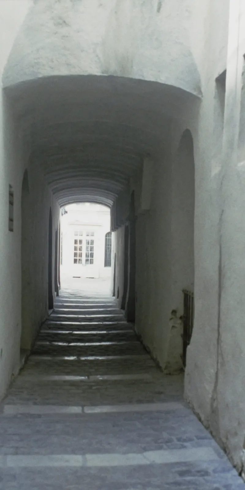 La traboule voûtée qui longe le bâtiment jusqu'à la cour.